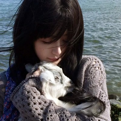 芒洛医生第二季