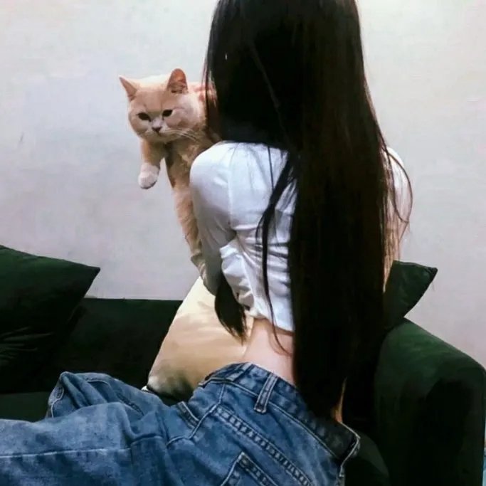 七海猎奇