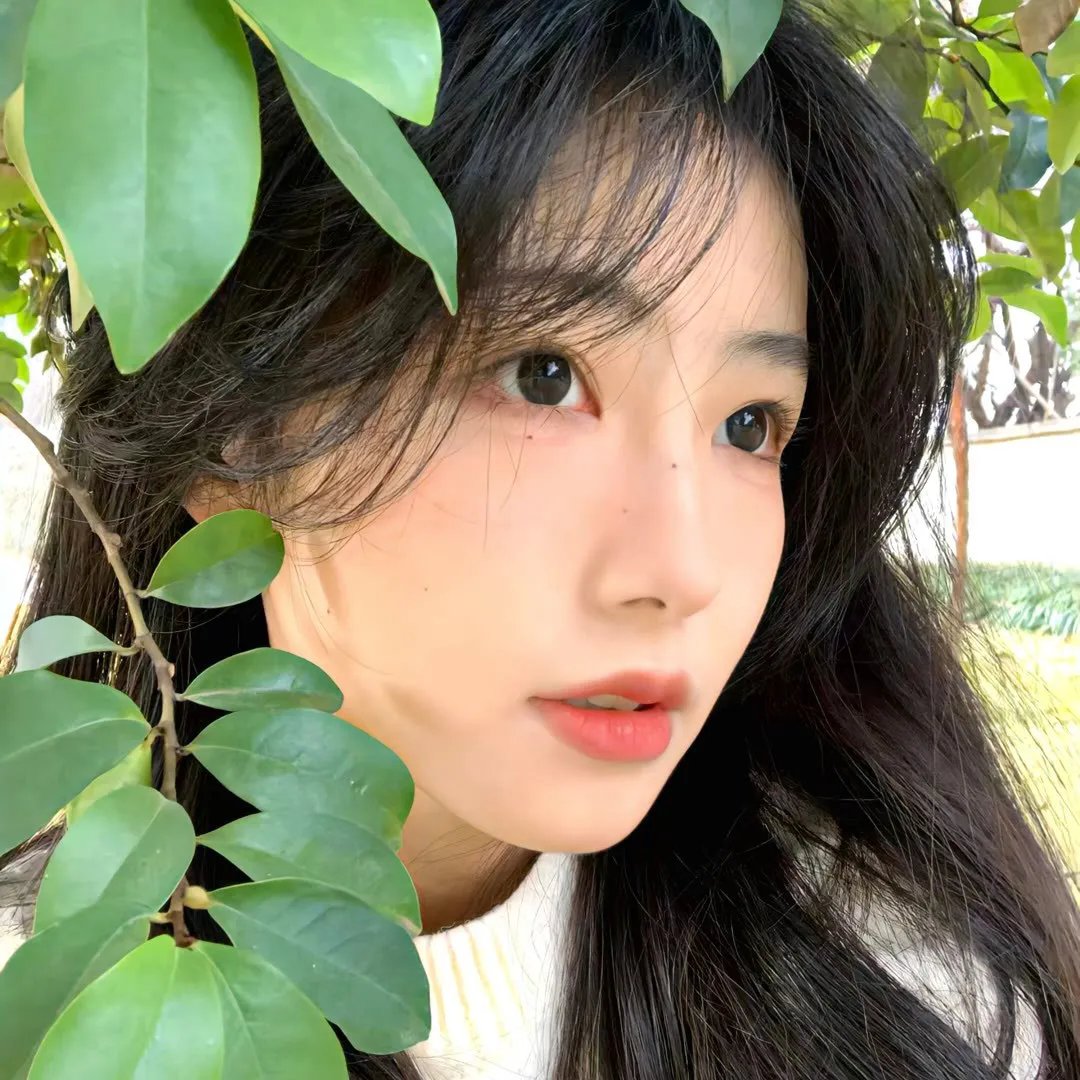 短暂的生命